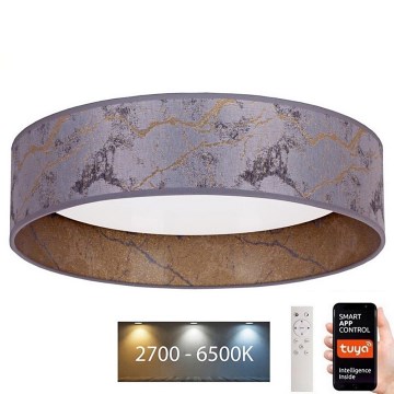 Brilagi - LED stropna svjetiljka s prigušivanjem VELVET SMART LED/24W/230V promjer 45 cm 2700-6500K Wi-Fi Tuya siva/zlatna + daljinski upravljač