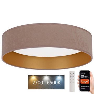 Brilagi - LED stropna svjetiljka s prigušivanjem VELVET SMART LED/36W/230V promjer 55 cm 2700-6500K Wi-Fi Tuya bež/zlatna + daljinski upravljač