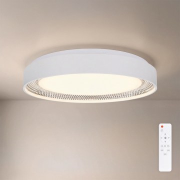 Brilagi - LED stropna svjetiljka s prigušivanjem WALDO LED/48W/230V 3000-6500K Ø 40 cm bijela/srebrna + daljinski upravljač