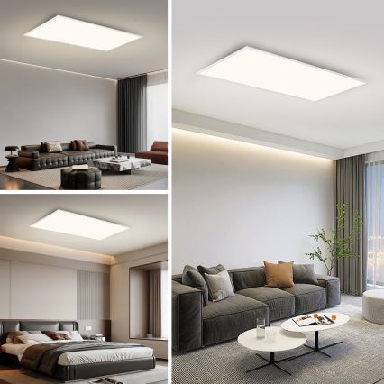 Brilagi - LED stropna svjetiljka SLIMFRAME LED/80W/230V 120x60 cm 3000/4000/6000K bijela