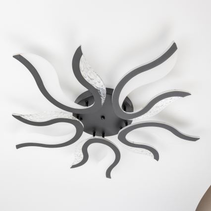 Brilagi - LED stropna lampa s prigušivanjem TWIST LED/65W/230V 3000-6500K crna + daljinski upravljač