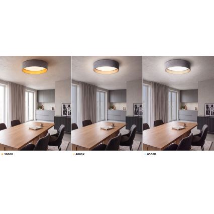 Brilagi - LED stropno svjetlo VELVET VARI LED/24W/230V 3000/4000/6500K Ø 45 cm siva/zlatna