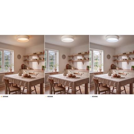 Brilagi - LED stropna svjetiljka VELVET VARI LED/24W/230V 3000/4000/6500K promjer 45 cm bijela