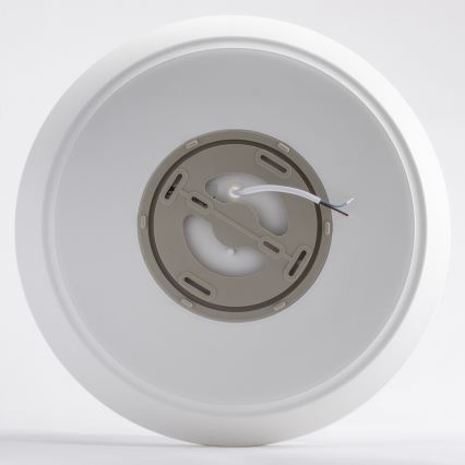 Brilagi - LED Stropna svjetiljka VESTAS LED/28W/230V 3000K IP54