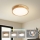 Brilagi - LED stropna svjetiljka WOODLINE LED/24W/230V 3000/4000/6000K hrast prom. 30 cm