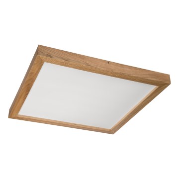 Brilagi - LED Stropna svjetiljka za kupaonice WOODY FRAME LED/40W/230V 60x60 cm IP44 hrast