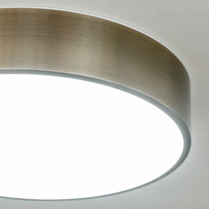 Brilagi - LED kupaonska stropna svjetiljka POOL LED/24W/230V 3000/4000/5500K Ø 30 cm IP54 mesing