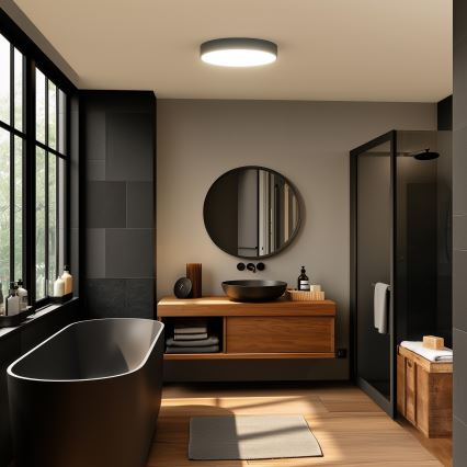 Brilagi - LED stropno svjetlo za kupaonicu POOL LED/36W/230V 3000/4000/5500K Ø 40 cm IP54 crno