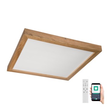 Brilagi - LED stropna svjetiljka za kupaonicu s prigušivanjem WOODY FRAME LED/50W/230V hrast 60x60 cm 3000-6000K IP44 + daljinski upravljač