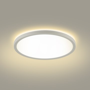 Brilagi - LED Stropna svjetiljka za kupaonicu ULTRA SLIM LED/12W/230V pr. 22,5 cm bijela IP54