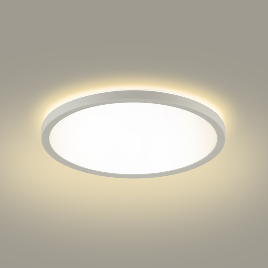 Brilagi - LED Stropna svjetiljka za kupaonicu ULTRA SLIM LED/24W/230V 42x42 cm bijela IP54