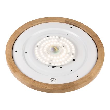 Brilagi - LED Stropna svjetlost BELLADONNA LED/36W/230V promjer 50 cm bijela/dub
