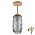 BRILAGI - LED stropni luster RETRO GLASS 1xE27/60W/230V Ø 14 cm bež/dimno siva