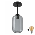 BRILAGI - LED stropni luster RETRO GLASS 1xE27/60W/230V Ø 14 cm crna/dimna siva