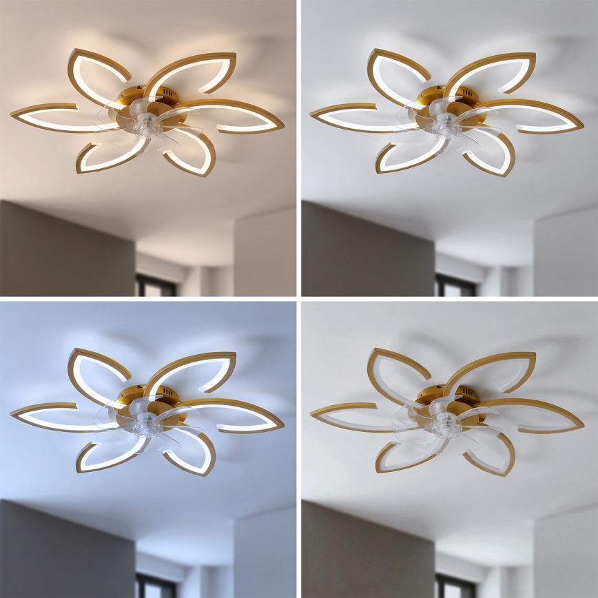 Brilagi - LED stropni ventilator s prigušivanjem LED/34W/230V 3000-6500K pr. 78 cm zlatni + daljinski upravljač