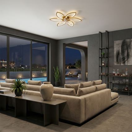 Brilagi - LED stropni ventilator s prigušivanjem LED/34W/230V 3000-6500K pr. 78 cm zlatni + daljinski upravljač