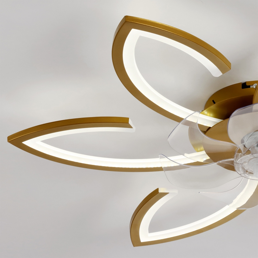 Brilagi - LED stropni ventilator s prigušivanjem LED/34W/230V 3000-6500K pr. 78 cm zlatni + daljinski upravljač
