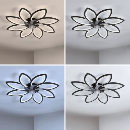 Brilagi - LED stropni ventilator s prigušivanjem LED/43W/230V 3000-6500K prom. 90 cm crna + daljinski upravljač