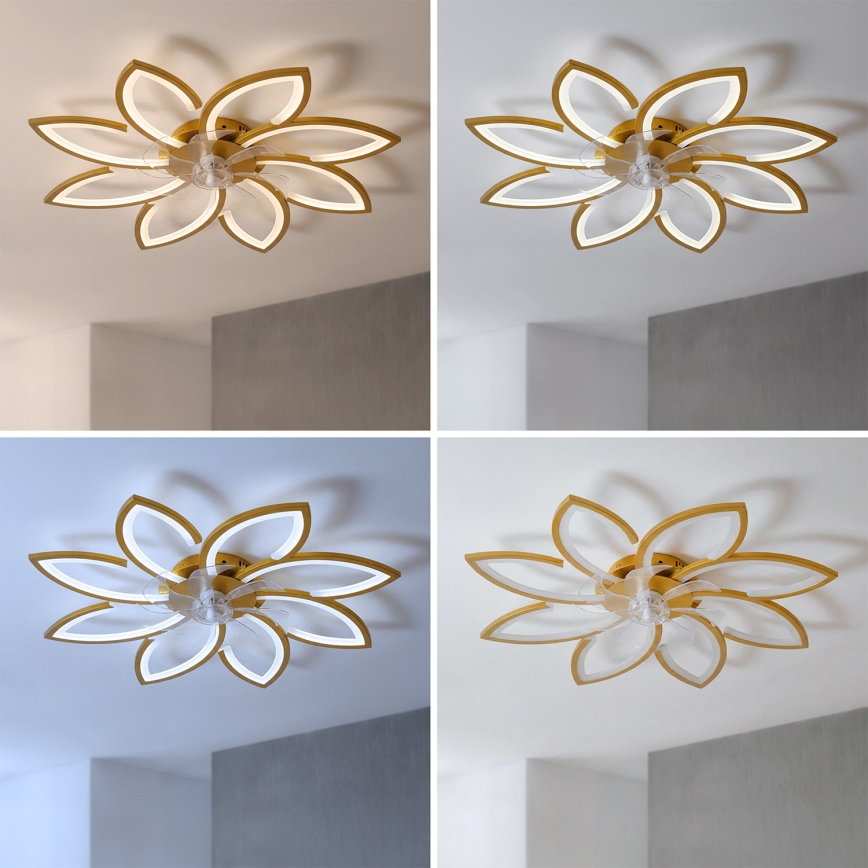 Brilagi - LED prigušivi stropni ventilator LED/43W/230V Ø 90 cm, zlatni + daljinski upravljač
