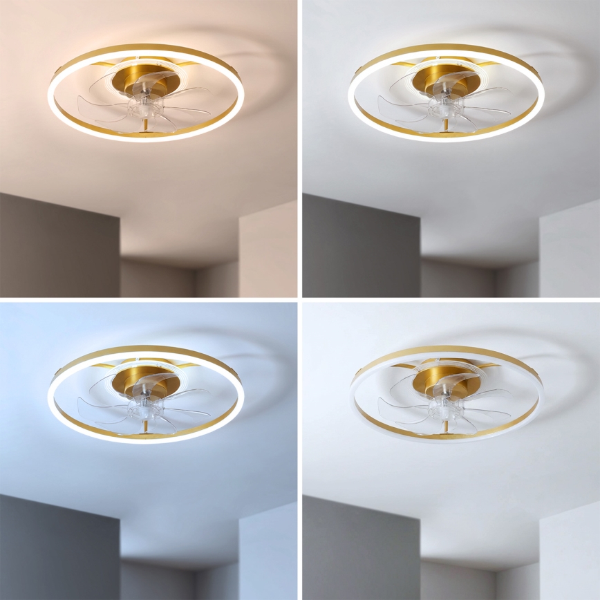 Brilagi - LED prigušivi stropni ventilator LED/66W/230V 3000-6500K prom. 55 cm bijela/zlatna + daljinski upravljač