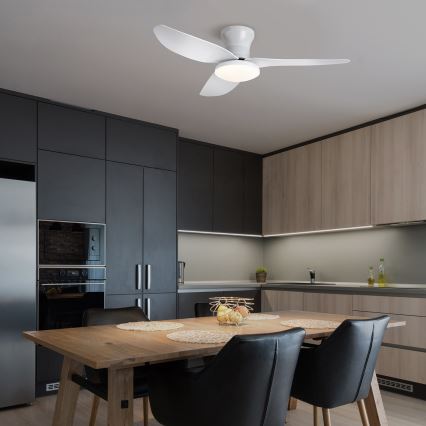 Brilagi - LED stropni ventilator s prigušivanjem svjetla LED/30W/230V 3000-6500K bijela + daljinski upravljač