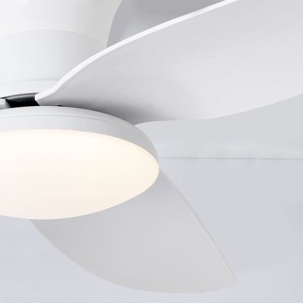 Brilagi - LED stropni ventilator s prigušivanjem svjetla LED/30W/230V 3000-6500K bijela + daljinski upravljač