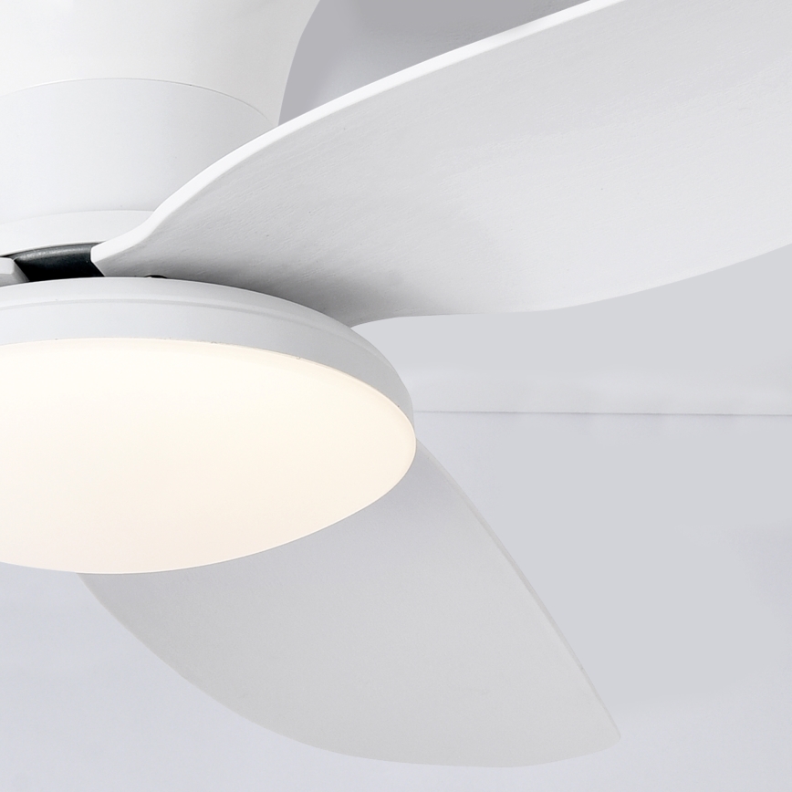 Brilagi - LED stropni ventilator s prigušivanjem svjetla LED/30W/230V 3000-6500K bijela + daljinski upravljač