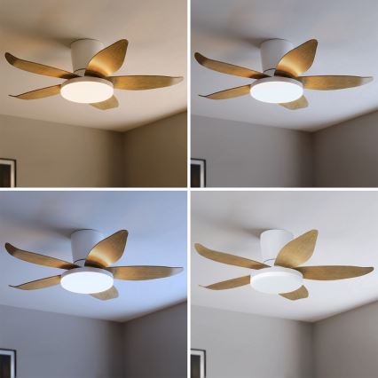 Brilagi - LED stropni ventilator s prigušivanjem, 32W/230V, 95 cm bijela/smeđa + daljinski upravljač