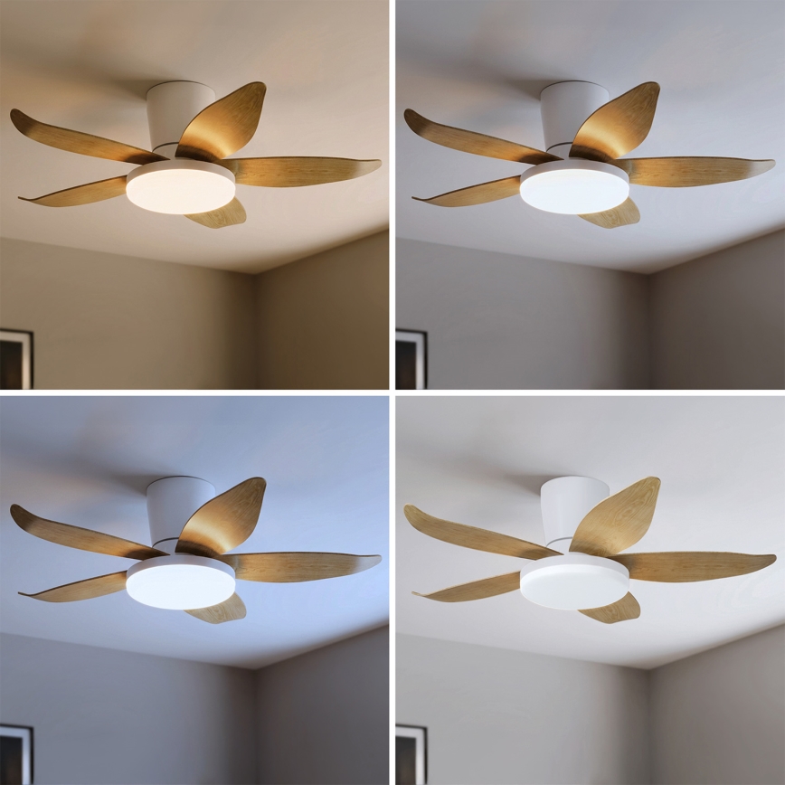 Brilagi - LED stropni ventilator s prigušivanjem, 32W/230V, 95 cm bijela/smeđa + daljinski upravljač