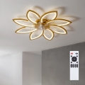Brilagi - LED stropni ventilator s prigušivanjem LED/43W/230V 3000–6500K Ø 90 cm zlatna + daljinski upravljač