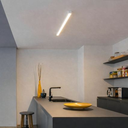Brilagi - LED stropna nadgradna svjetiljka FULLDAY LED/10/15/20W/230V 2700/4000/6000K 60 cm bijela