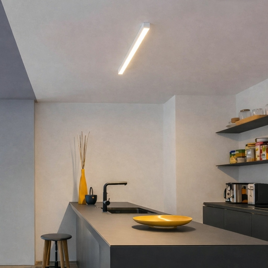 Brilagi - LED stropna nadgradna svjetiljka FULLDAY LED/10/15/20W/230V 2700/4000/6000K 60 cm bijela