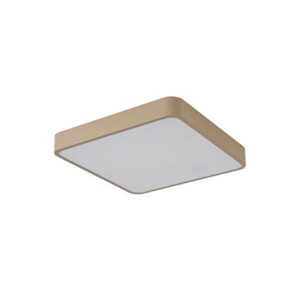 Brilagi - LED stropno svjetilo POOL/48W/230V 3000/4500/6000K 50x50 cm bež