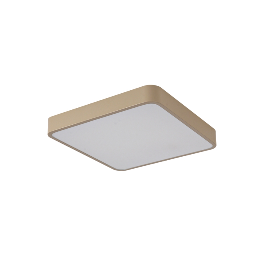 Brilagi - LED stropno svjetilo POOL/48W/230V 3000/4500/6000K 50x50 cm bež