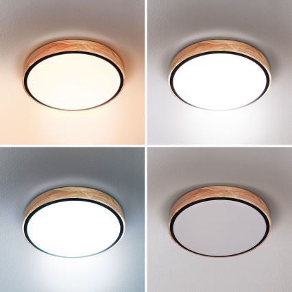 Brilagi - LED stropna svjetiljka s prigušivanjem GLORIA LED/48W/230V 3000-6500K hrast promjer 40 cm + daljinski upravljač