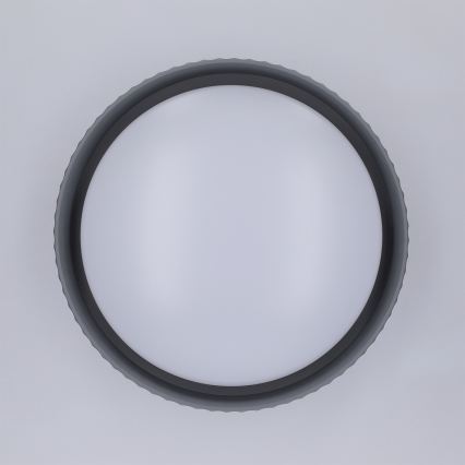 Brilagi - LED stropno svjetlo LUCIA LED/24W/230V Ø 31 cm siva