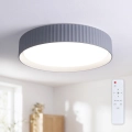 Brilagi - LED stropno svjetlo LUCIA s mogućnošću prigušivanja LED/48W/230V 3000-6500K promjer 41 cm siva + daljinski upravljač
