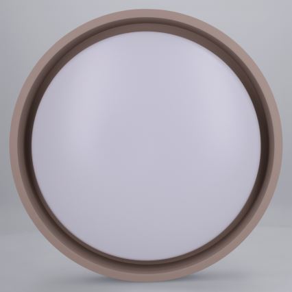 Brilagi - LED stropno svjetlo MATTEO LED/24W/230V Ø 31 cm taupe