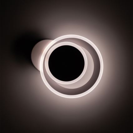 Brilagi - LED stropno svjetlo MODERN MINI LED/22W/230V 3000/4000/6000K