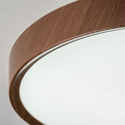 BRILAGI - LED stropno svjetlo NATURA LED/20W/230V 4000K Ø 33,7 cm