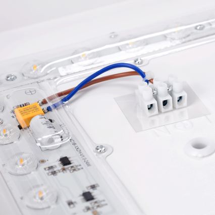 Brilagi - LED stropno svjetlo PILANA LED/24W/230V hrast/bijela 32x32 cm