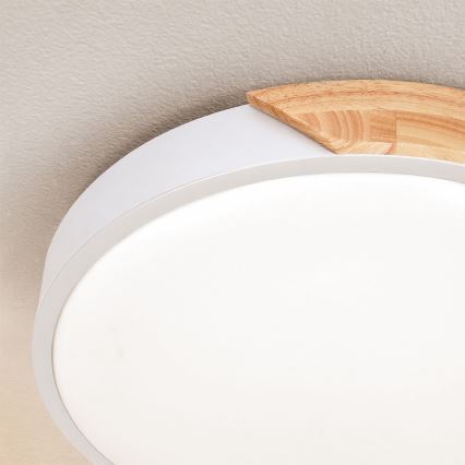 Brilagi - LED stropno svjetlo PILANA LED/24W/230V hrast/bijela pr. 30 cm