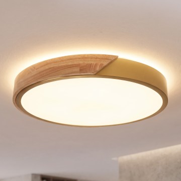 BRILAGI - LED stropno svjetlo PILANA LED/24W/230V hrast/zlatna Ø 30 cm