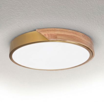 BRILAGI - LED stropno svjetlo PILANA LED/24W/230V hrast/zlatna Ø 30 cm