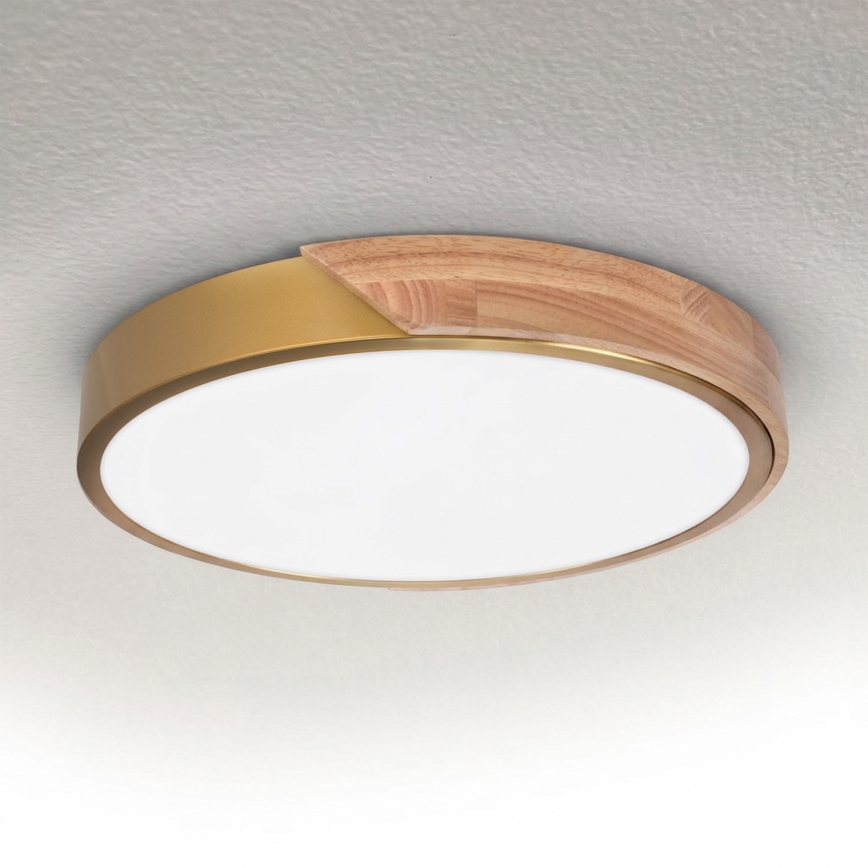 BRILAGI - LED stropno svjetlo PILANA LED/24W/230V hrast/zlatna Ø 30 cm