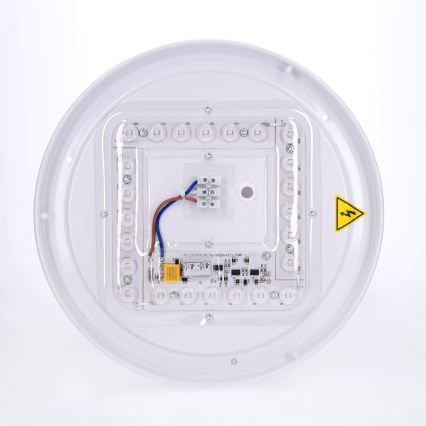 BRILAGI - LED stropno svjetlo PILANA LED/24W/230V hrast/zlatna Ø 30 cm
