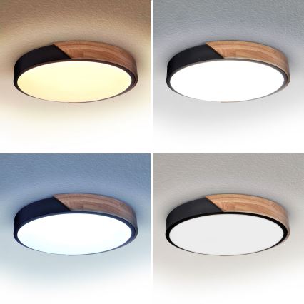 Brilagi - LED stropna svjetiljka s prigušivanjem PILANA LED/48W/230V 3000-6500K hrast promjer 40 cm + daljinski upravljač
