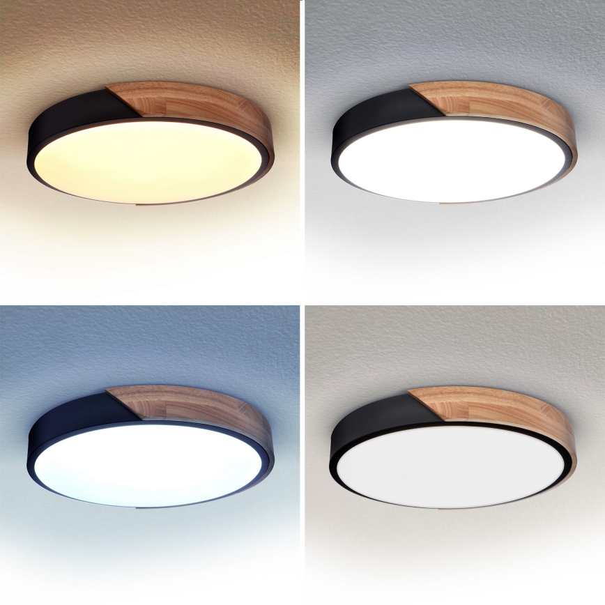 Brilagi - LED stropna svjetiljka s prigušivanjem PILANA LED/48W/230V 3000-6500K hrast promjer 40 cm + daljinski upravljač