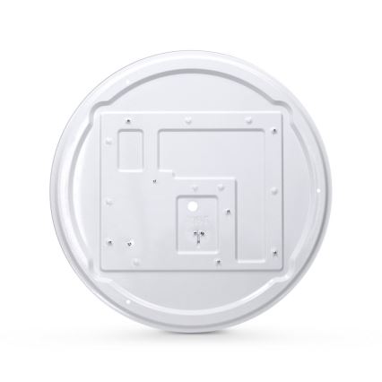 Brilagi - LED stropna svjetiljka s prigušivanjem PILANA LED/48W/230V 3000-6500K hrast promjer 40 cm + daljinski upravljač