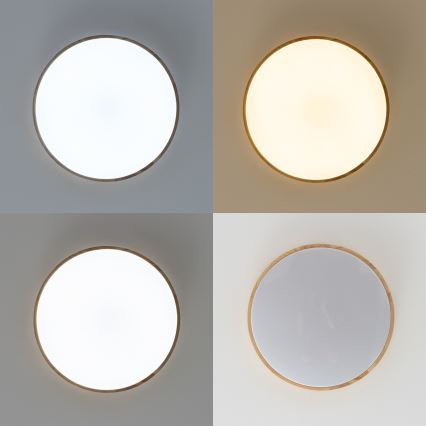 Brilagi - PINE LED stropna svjetiljka s mogućnošću prigušivanja, 60W/230V, promjer 52 cm, 3000-6500K + daljinski upravljač